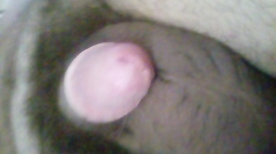 20170413_102854.jpg - Kamilia