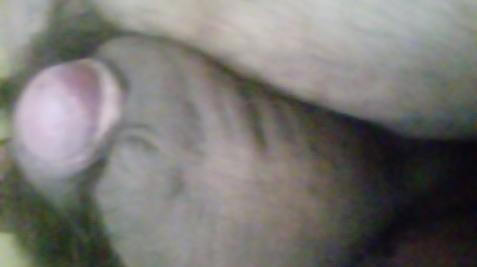 20170413_102838.jpg - Kamilia