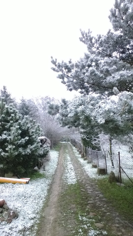 WP_20170416_007.jpg - Ratl