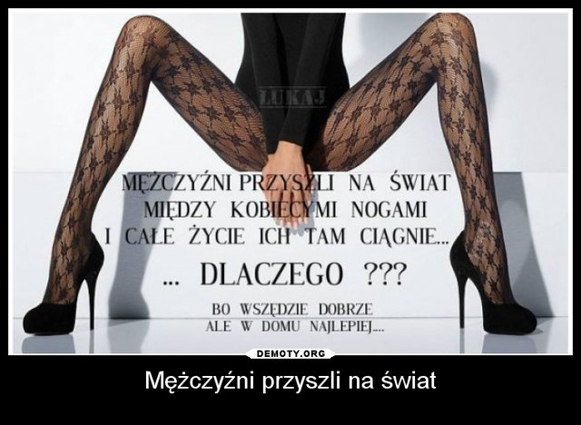 elik_stw