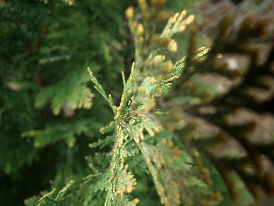 DSCF0942.JPG - NauczeCieLatac