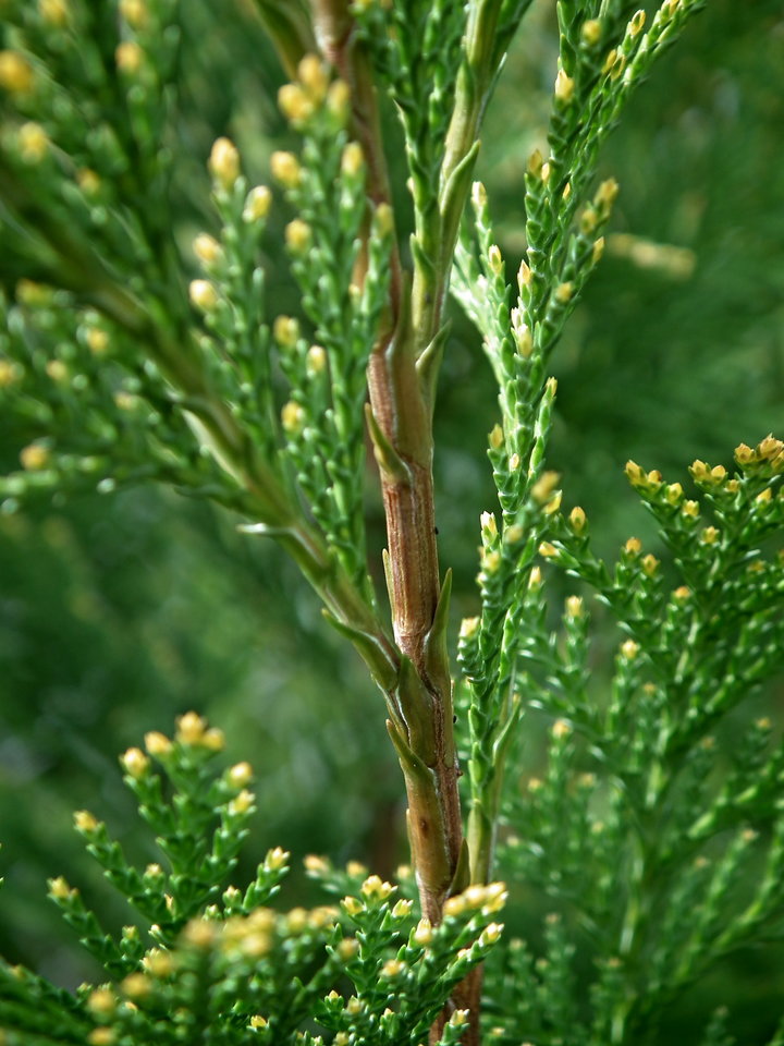 DSCF0936.JPG - NauczeCieLatac