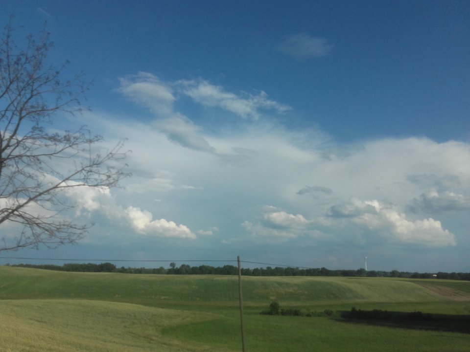 20160619_181216.jpg - paraolsztyn11