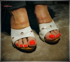 Białe Drewniaczki II #65