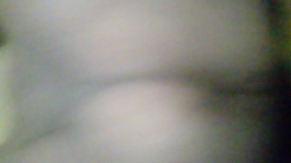 20170415_074900.jpg - Kamilia