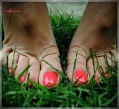 soczysta czerwień #73