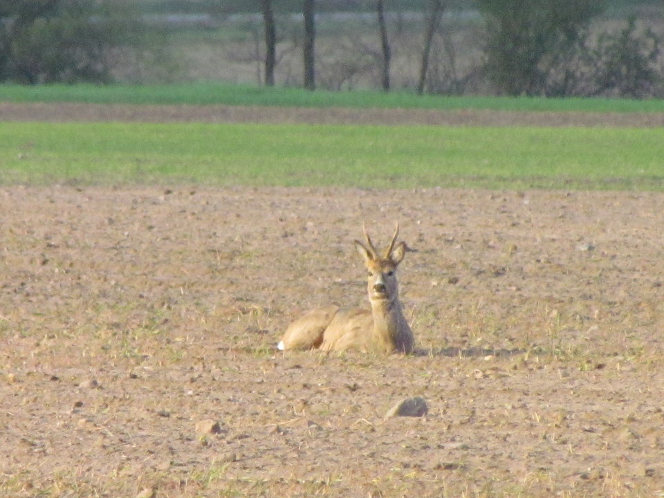 spokojnie czekam:) - wodnik50