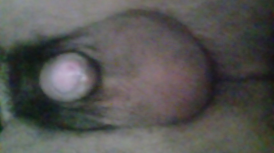 20170421_082713.jpg - Kamilia