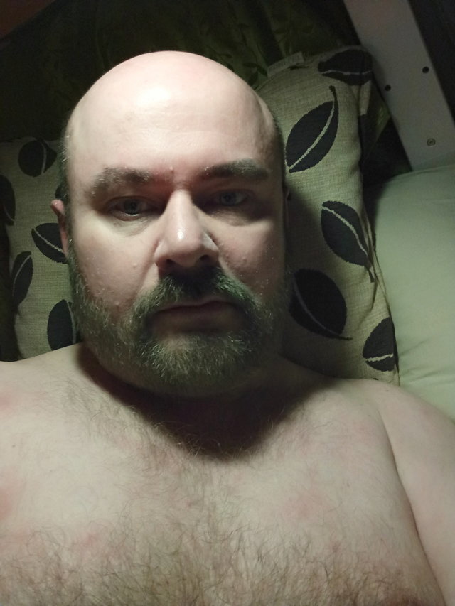 Bearseek