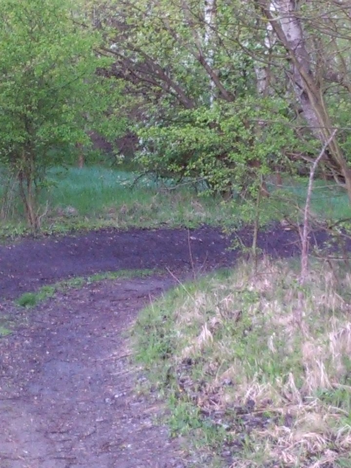 IMG_20170423_184736.jpg - Wolfdi