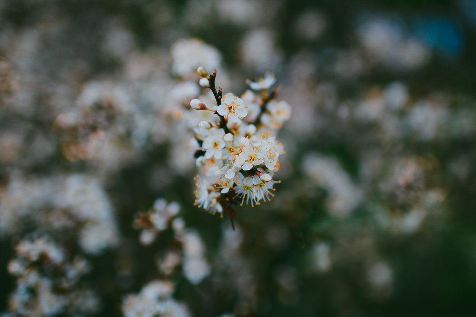 Kawałek wiosny ;) - amperomierz