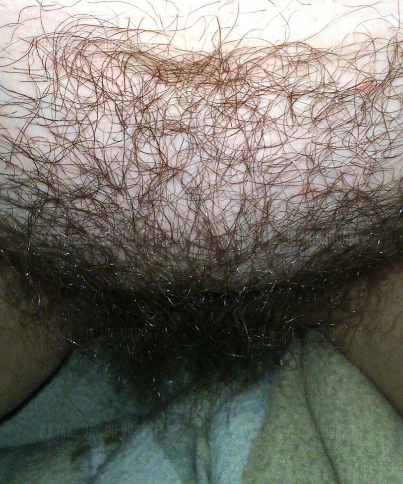 Pokaż sowę - pajak_je_biedronke