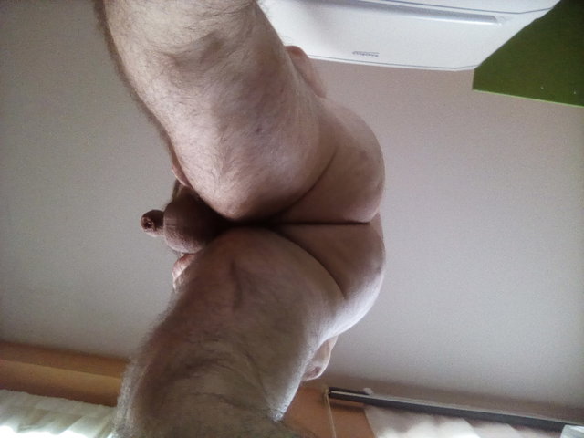 Bearseek