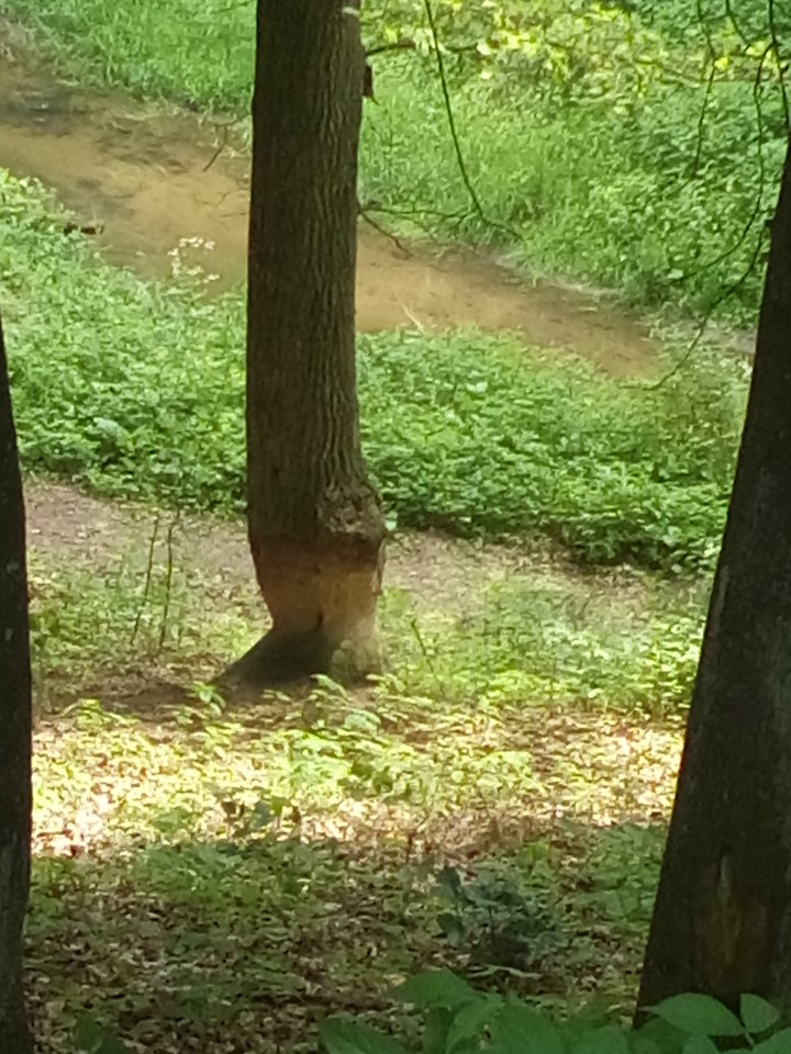 20160527_120217.jpg - paraolsztyn11