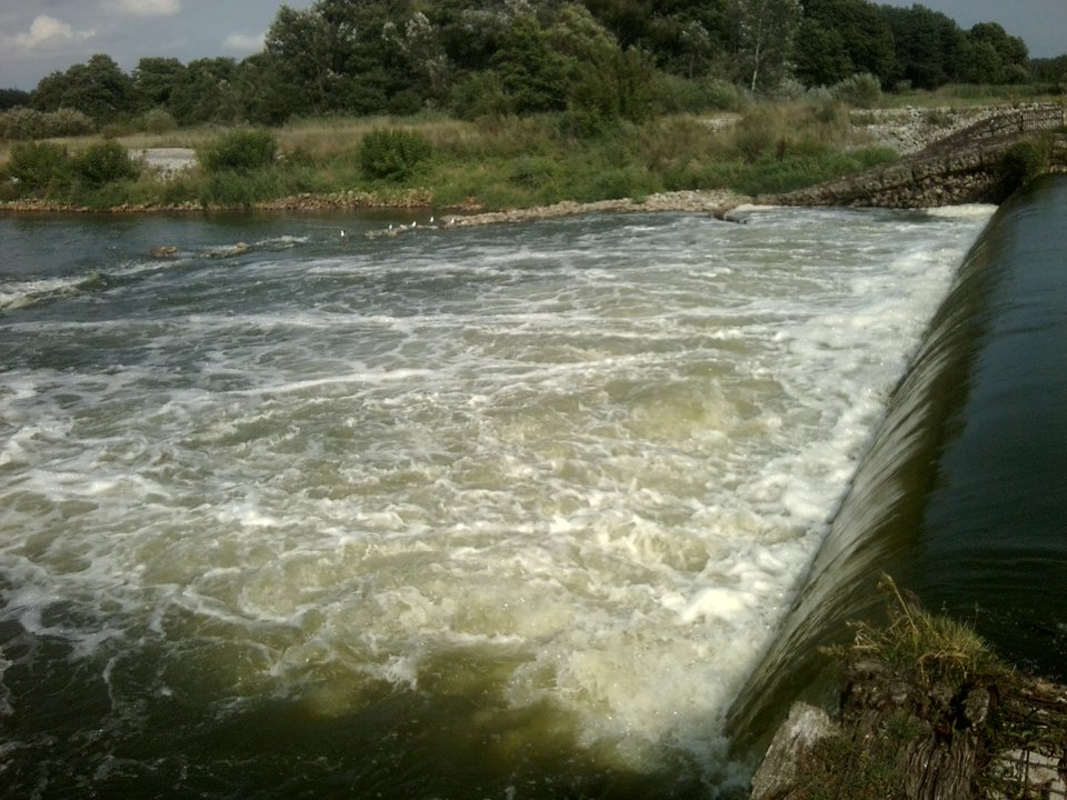 Zdjęcie0057.jpg - gabarznik