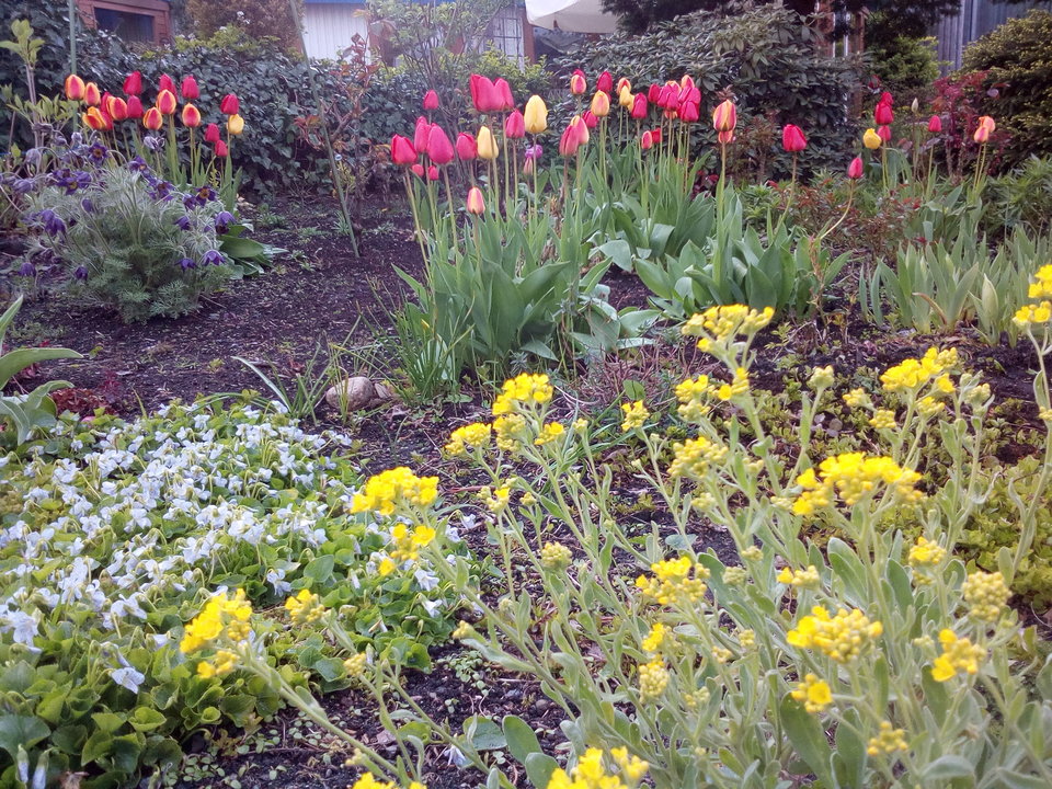 IMG_20170428_191842.jpg - kostek1234