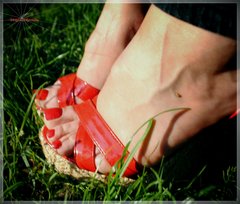 Czerwone Koturny  81