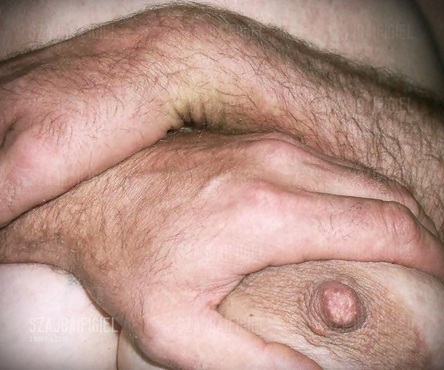 cycus.JPG - SzajbaiFigiel