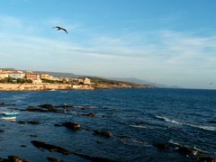 image-0-02-01-3c1c9d1daa1ed52c2461a0943363863cfcaedffab599840cbf