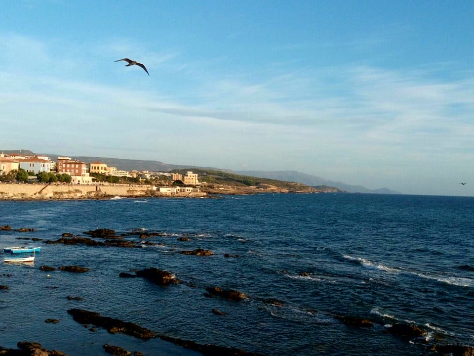 image-0-02-01-3c1c9d1daa1ed52c2461a0943363863cfcaedffab599840cbf - destroy