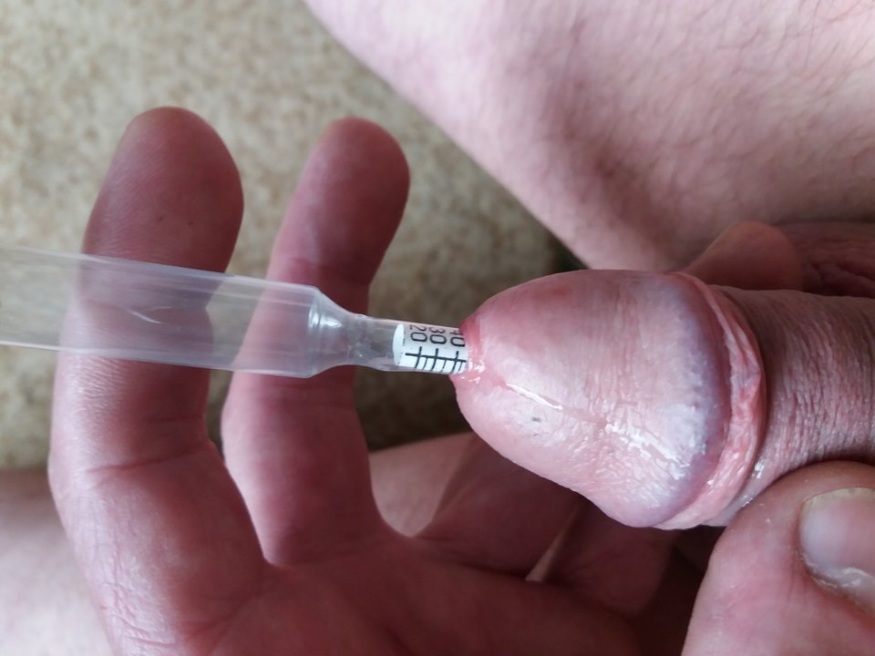 20170502_095121.jpg - Kameleon1964