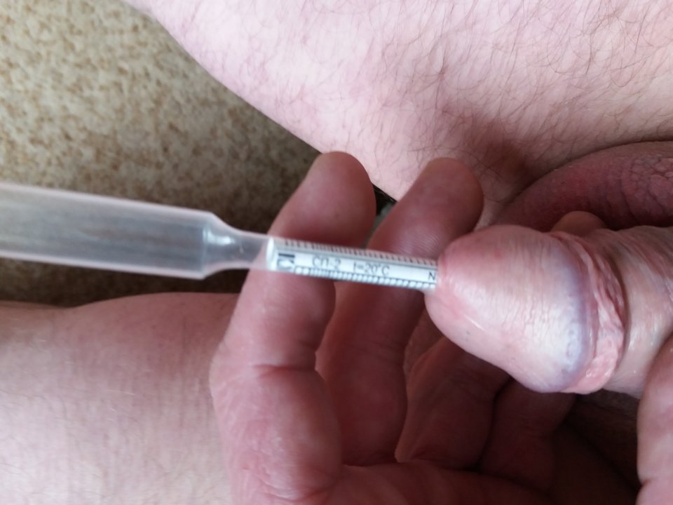 20170502_095046.jpg - Kameleon1964