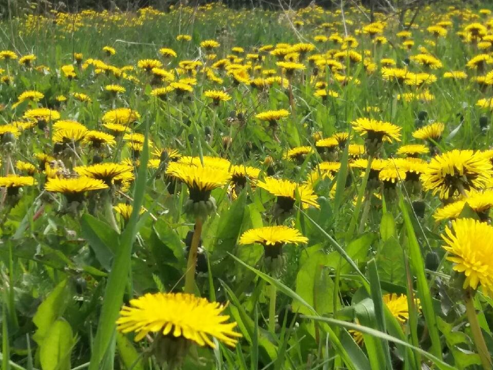 Cała w..... - Naom__e