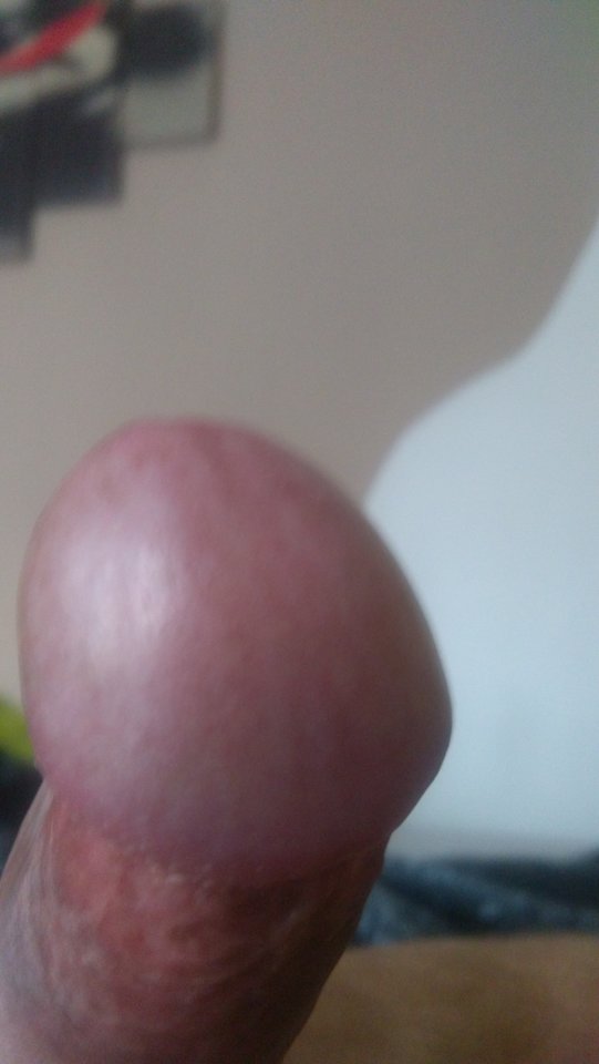 IMG_20170506_081743.jpg - Tofik72