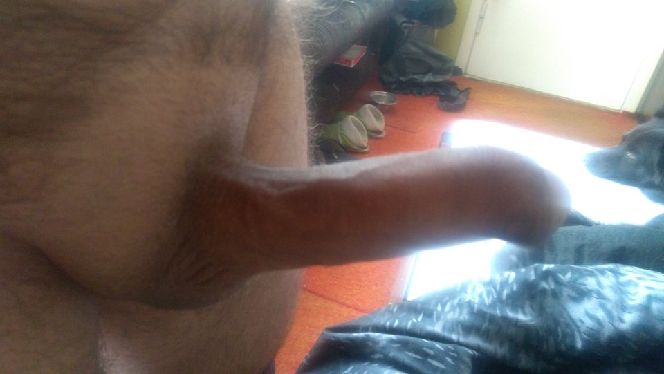 IMG_20170506_091305.jpg - Tofik72