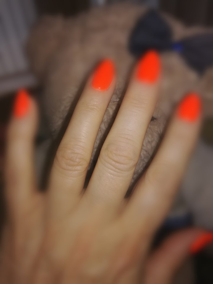 IMG_20170503_120431.jpg - Eurydyka2956