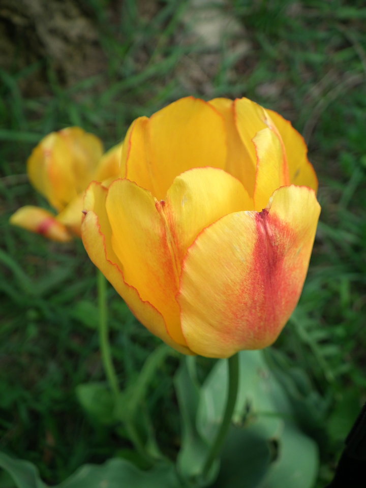 DSCF1009.JPG - NauczeCieLatac