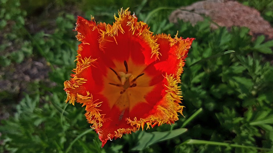 20170506_165308.jpg - destroy