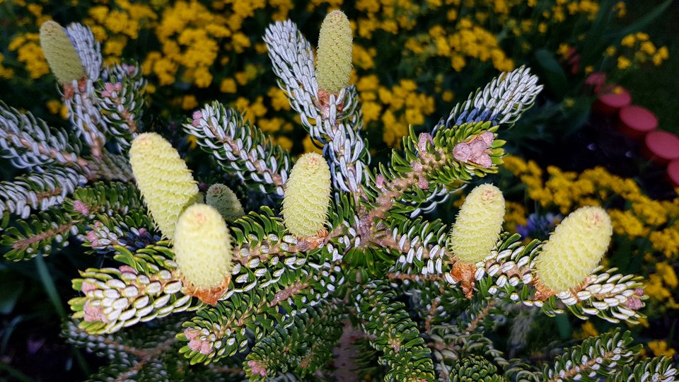 20170506_185155.jpg - destroy