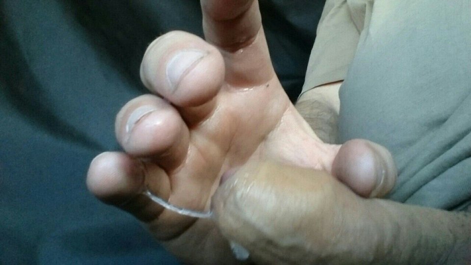 image-0-02-05-b79882da346e04db275b2a389becdc2f058c1affb37661d9b0 - ostraparka84841