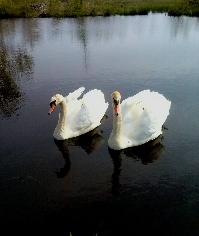 20170511_113512.jpg - destroy