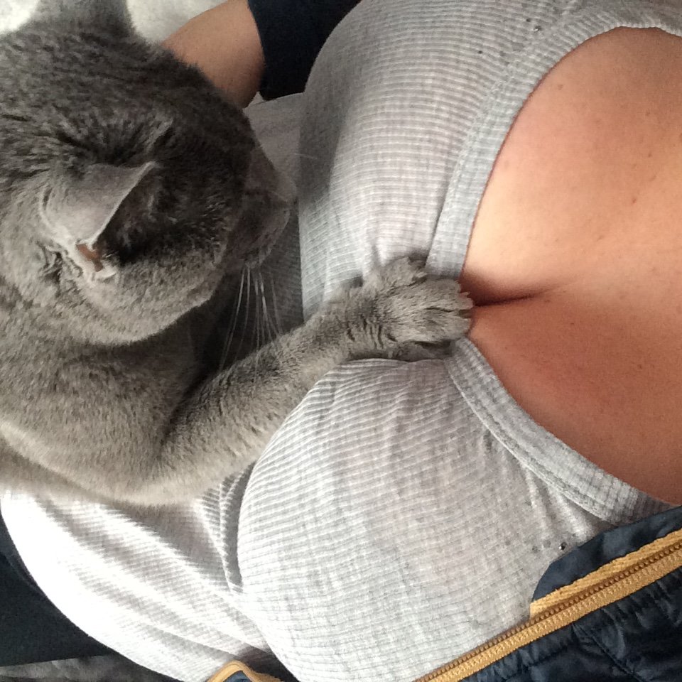 Kicia wie co dobre 😂 - nimimi