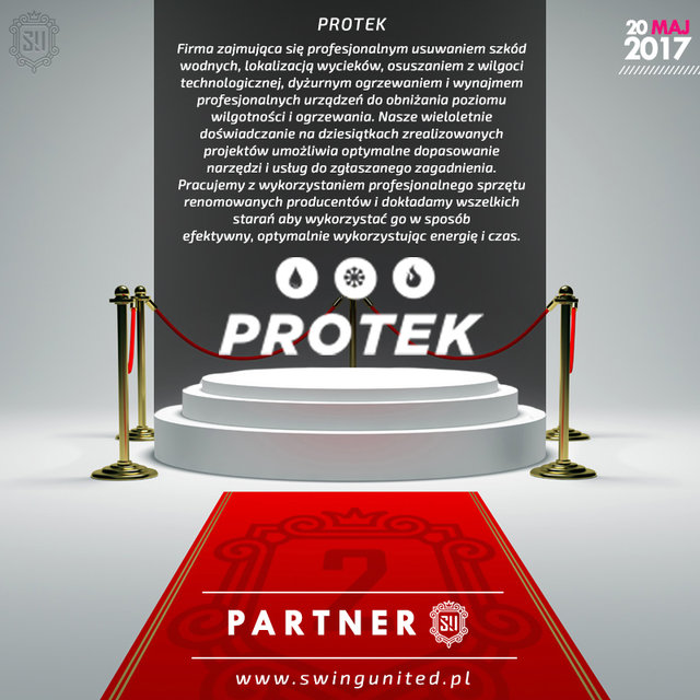 NASI PARTNERZY - SwingUnited