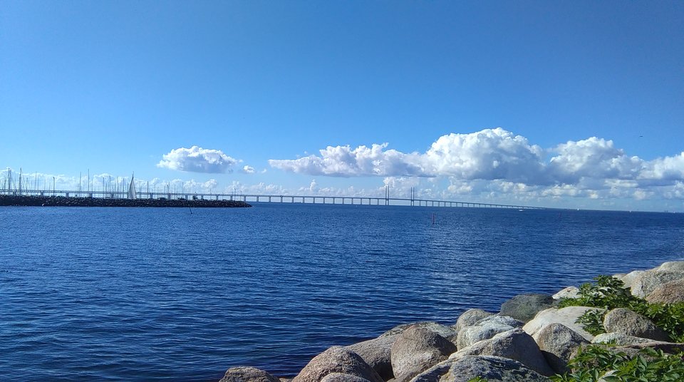 IMAG0491.jpg - yoda777