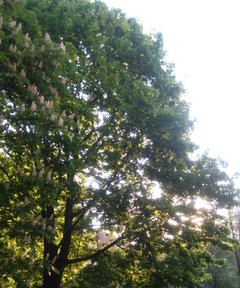 🔆Witam,miłego i słonecznego dnia życzę 🌞😙😙