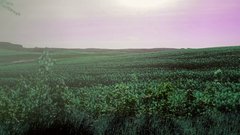 20170518_062228.jpg