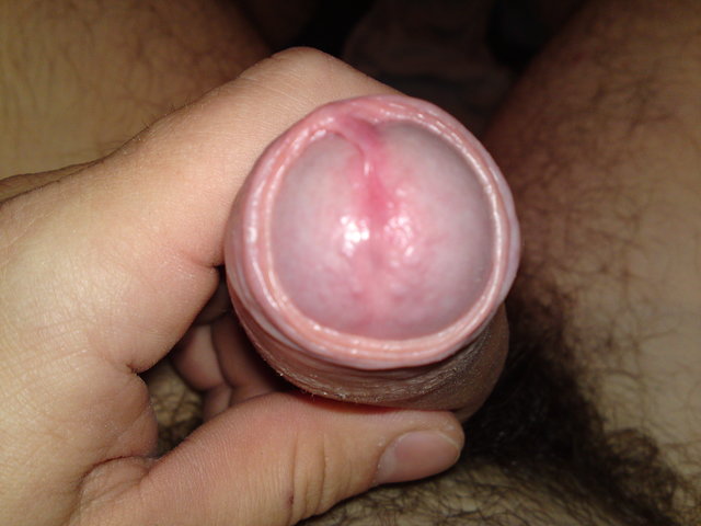 holender7878