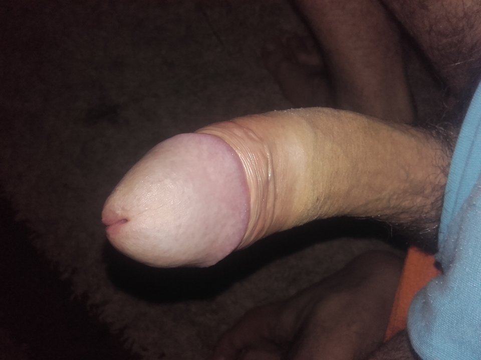 20170520_064927.jpg - gutek1234