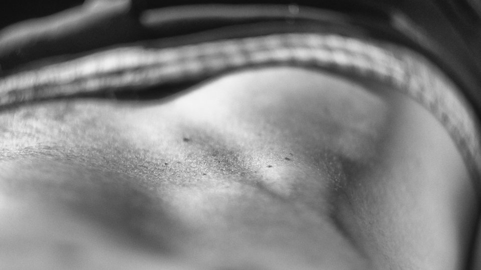 DSC09538.jpg - Wilczomlecz
