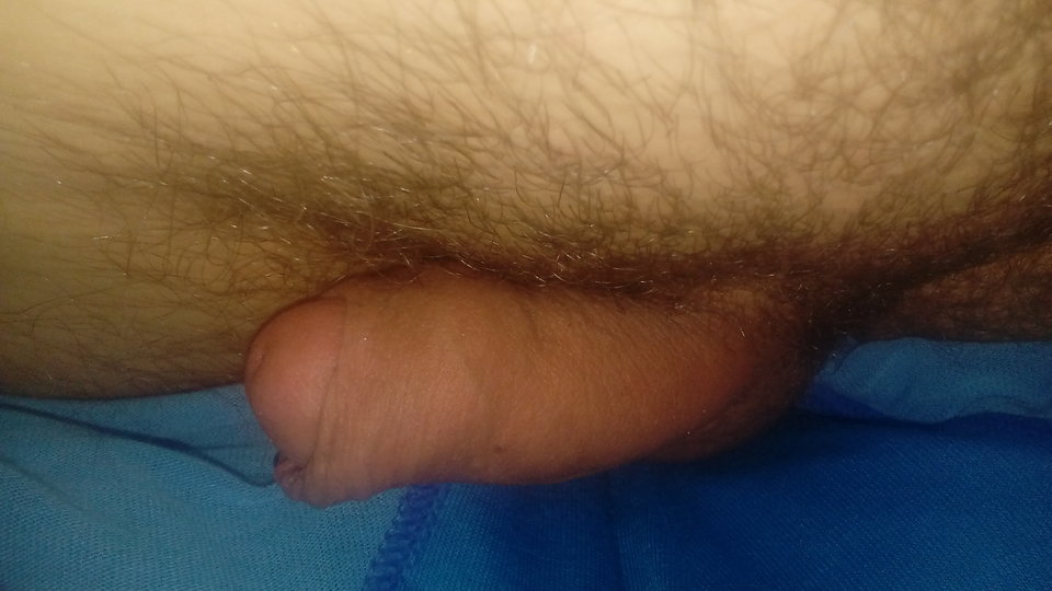 20170521_115357.jpg - Tomci