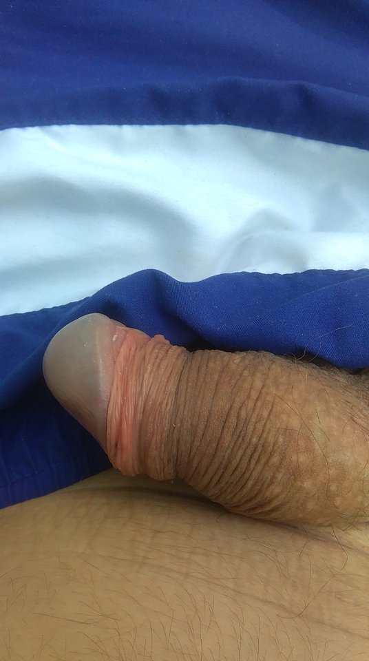 IMAG1721.jpg - andrzejzdrawska