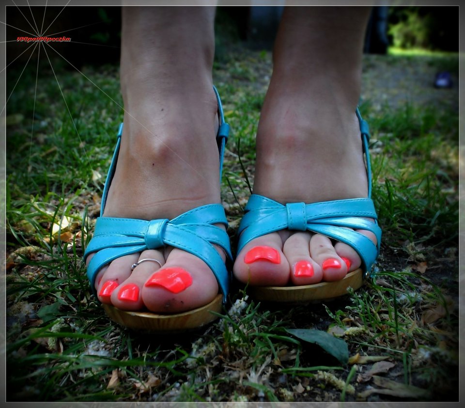 Błękitne Drewniaczki #64 - 100pa100peczka