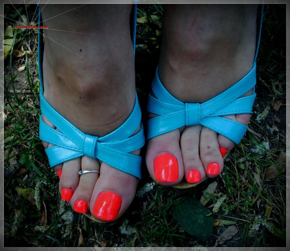 Błękitne Drewniaczki #66 - 100pa100peczka