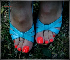 Błękitne Drewniaczki #66