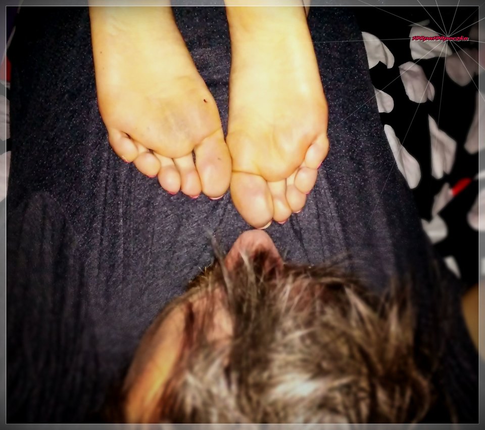 Spodziki 367 - 100pa100peczka