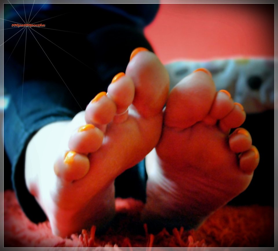 Spodziki 369 - 100pa100peczka